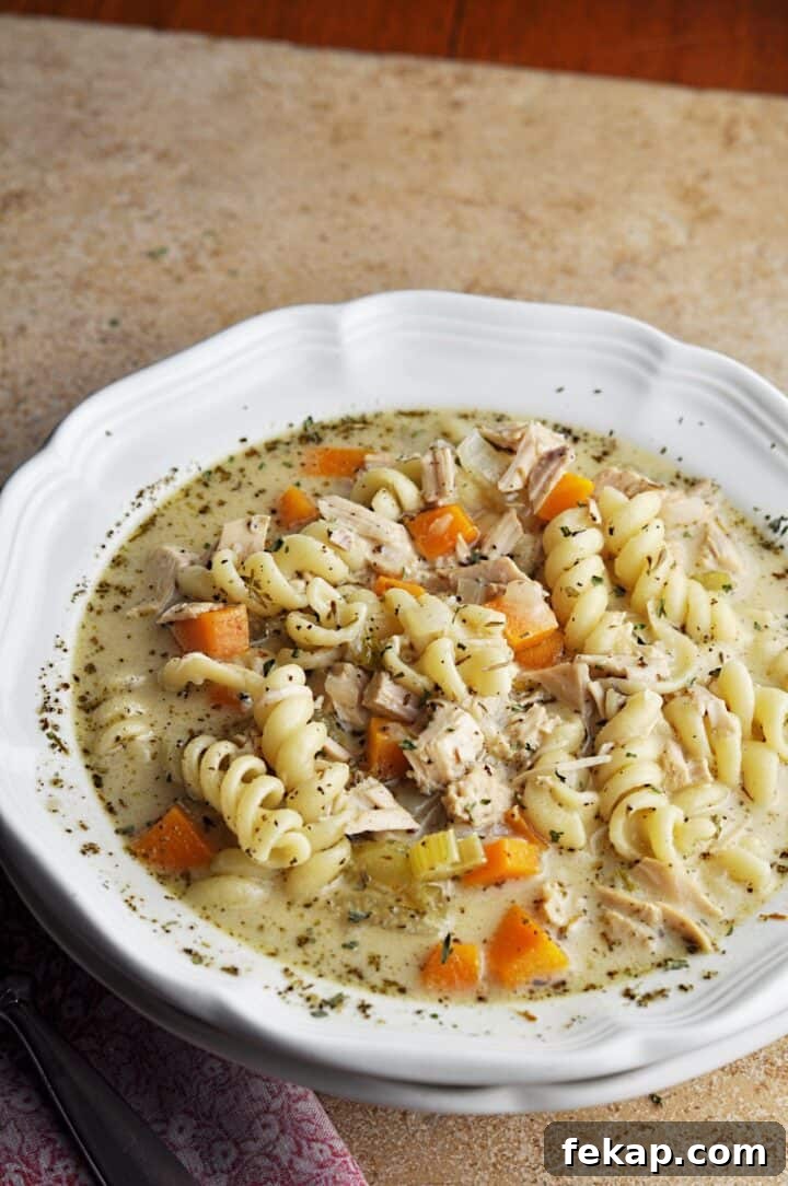 Creamy noodle soup with turkey and vegetables