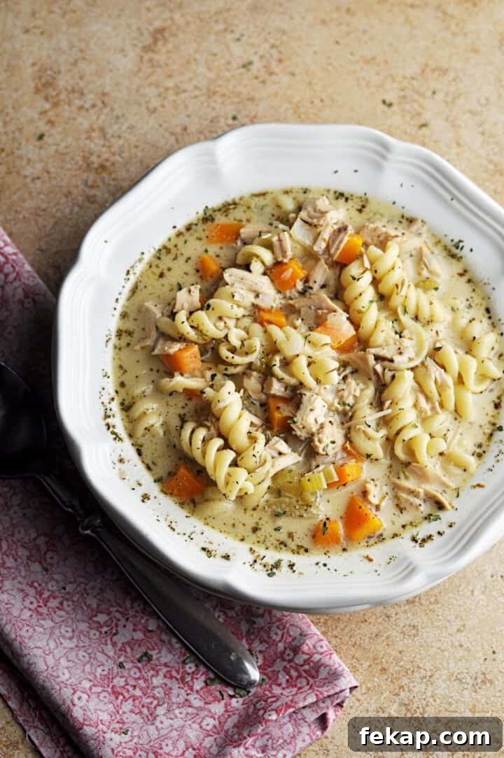 Soup recipe using leftover turkey and vegetables