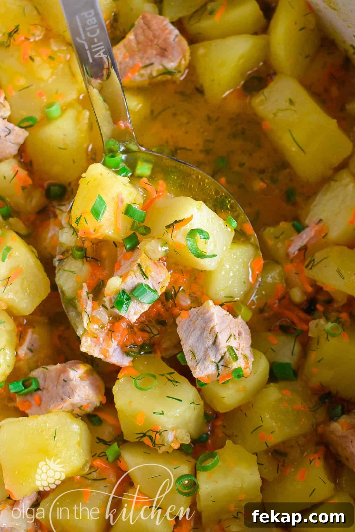 Serving of braised potatoes with pork