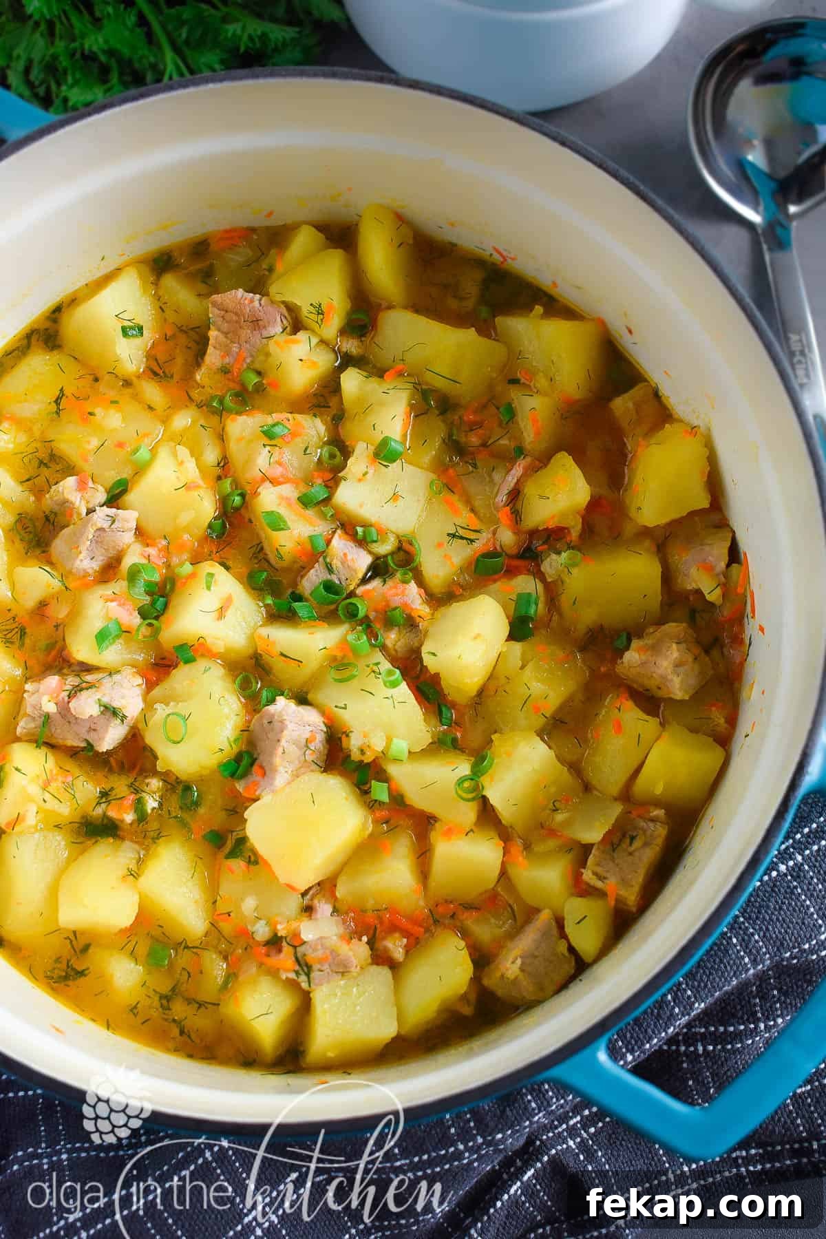 Homemade pork and potato stew leftovers