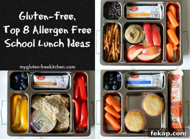 3 Gluten-Free Top-8-Free School Lunch Ideas with Chewy Bars 2 Gluten-free Top 8 Allergen Free School Lunch Ideas. No sandwiches!