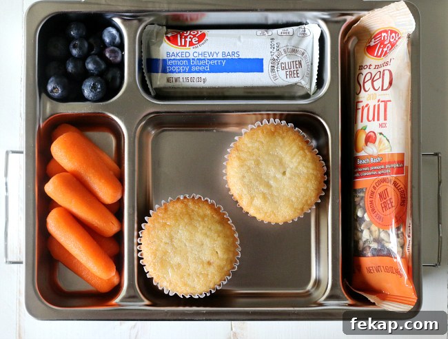 3 Gluten-Free Top-8-Free School Lunch Ideas with Chewy Bars 5 Gluten-free Lunch Idea Muffins and more