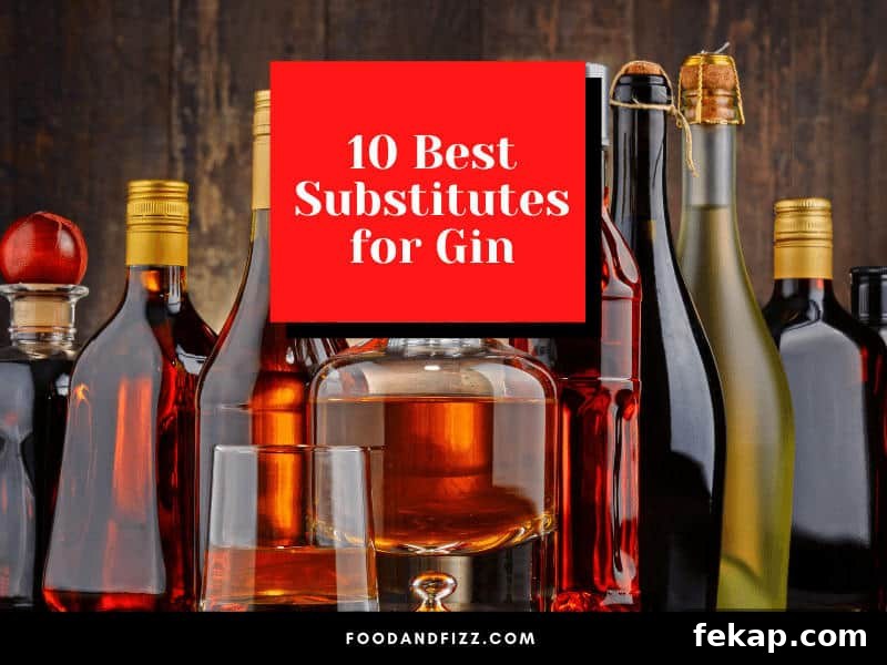 10 Gin Substitutes for Cocktails and Mixed Drinks 2 10 Best Substitutes for Gin