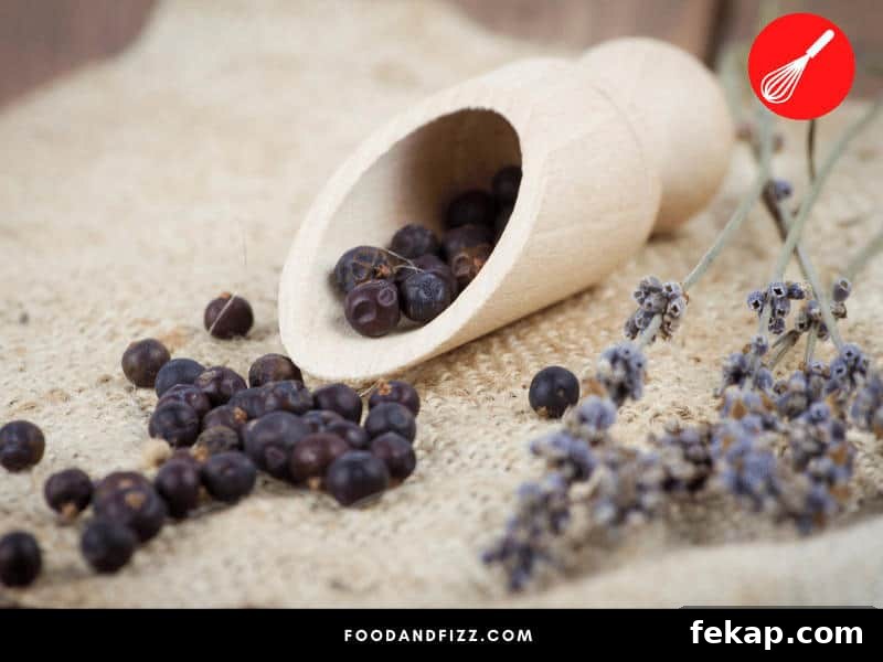 10 Gin Substitutes for Cocktails and Mixed Drinks 3 Juniper berries are a signature botanical used to flavor gin.