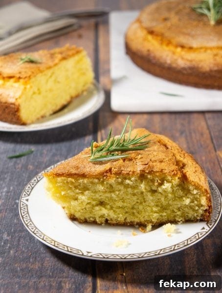 Quick Breads: Types, Uses, and Baking Guide 8 cake slices next to the whole cake