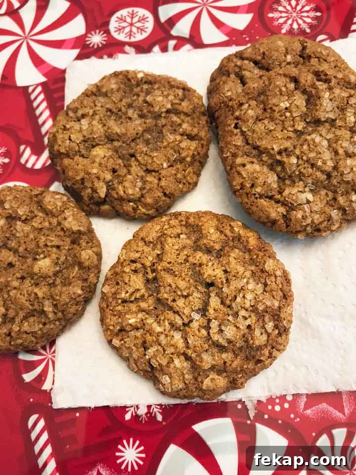 Molasses Oat Bran Cookies