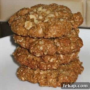Molasses Oat Bran Cookies plated