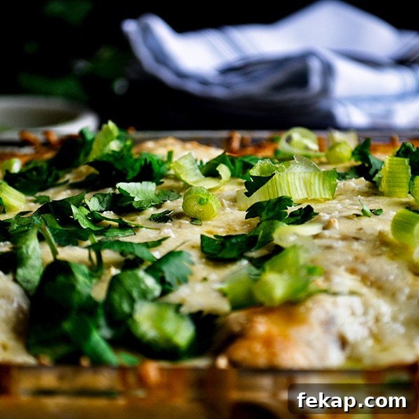 Enchiladas Verdes: Classic Chicken with Tomatillo Sauce 3 Enchiladas Verdes (Green Enchiladas)