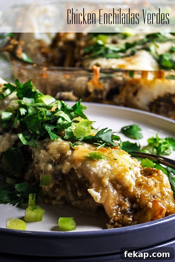Enchiladas Verdes: Classic Chicken with Tomatillo Sauce 9 Enchiladas Verdes (Green Enchiladas)