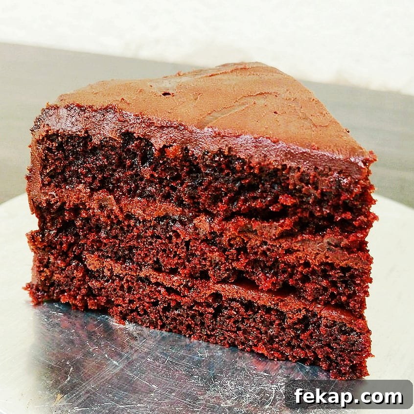Irresistible Chocolate Recipes for Every Occasion 5 img 67434 4