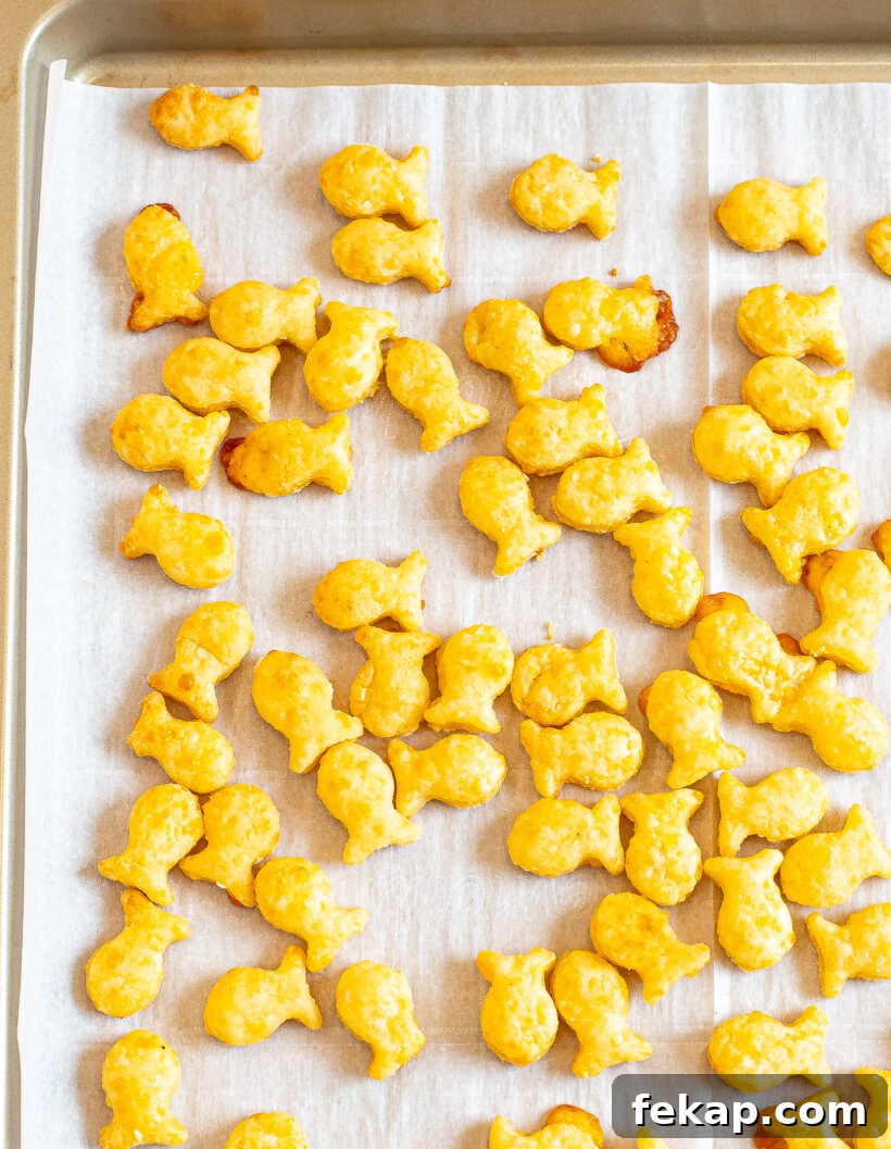Homemade Goldfish Crackers Recipe: Baked Cheddar Snacks 2 Overhead shot of homemade goldfish crackers on a baking sheet lined with parchment paper.