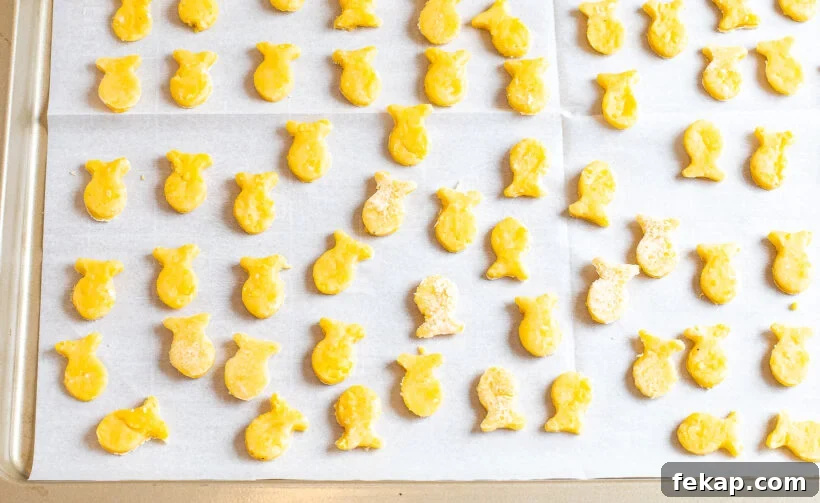 Homemade Goldfish Crackers Recipe: Baked Cheddar Snacks 6 Dough cut into fish shapes and placed on a baking sheet before being baked.