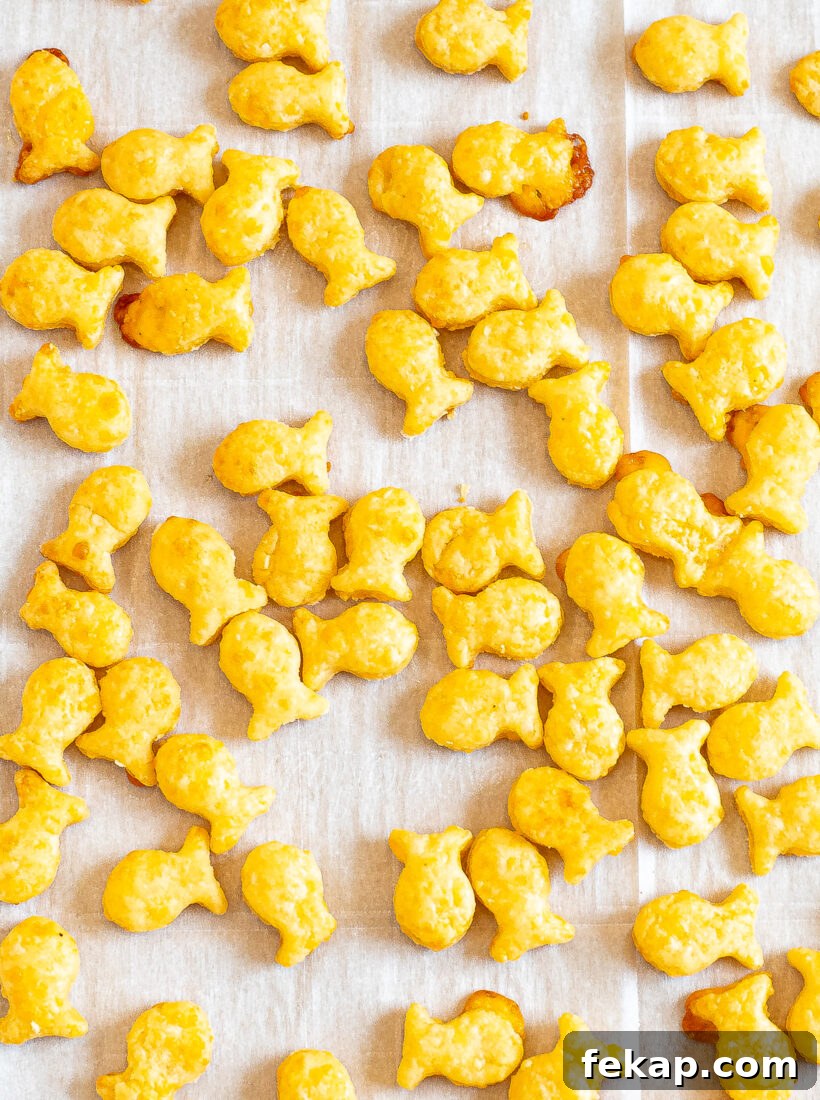 Homemade Goldfish Crackers Recipe: Baked Cheddar Snacks 7 Crispy goldfish crackers on a sheet pan.