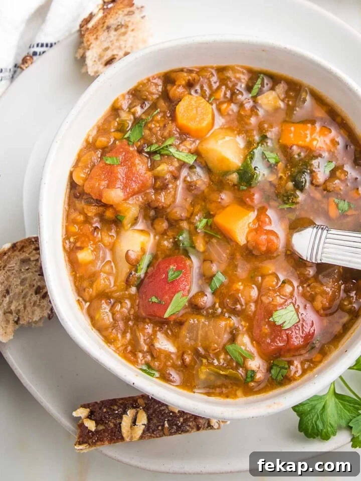 White bowl filled with lentil soup with carrots, tomatoes and herbs.
