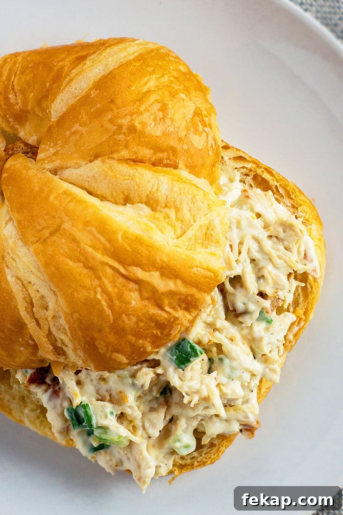 Old Fashioned Leftover Turkey Salad Sandwich With Croissant on White Plate- Closeup Shot