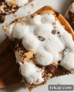 A close-up of Smores Bars with melted chocolate and toasted marshmallows on a graham cracker base.