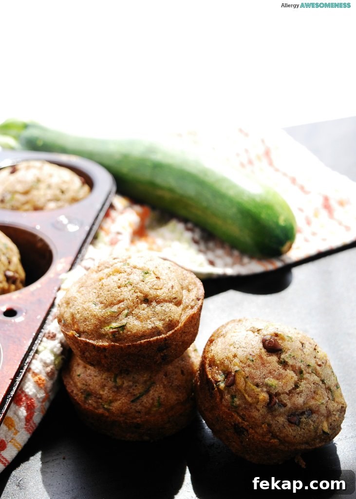28 Gluten-Free Dairy-Free Brunch Recipes with Vegan Options 13 vegan-gluten-free-chocolate-chip-zucchini-muffin-recipe