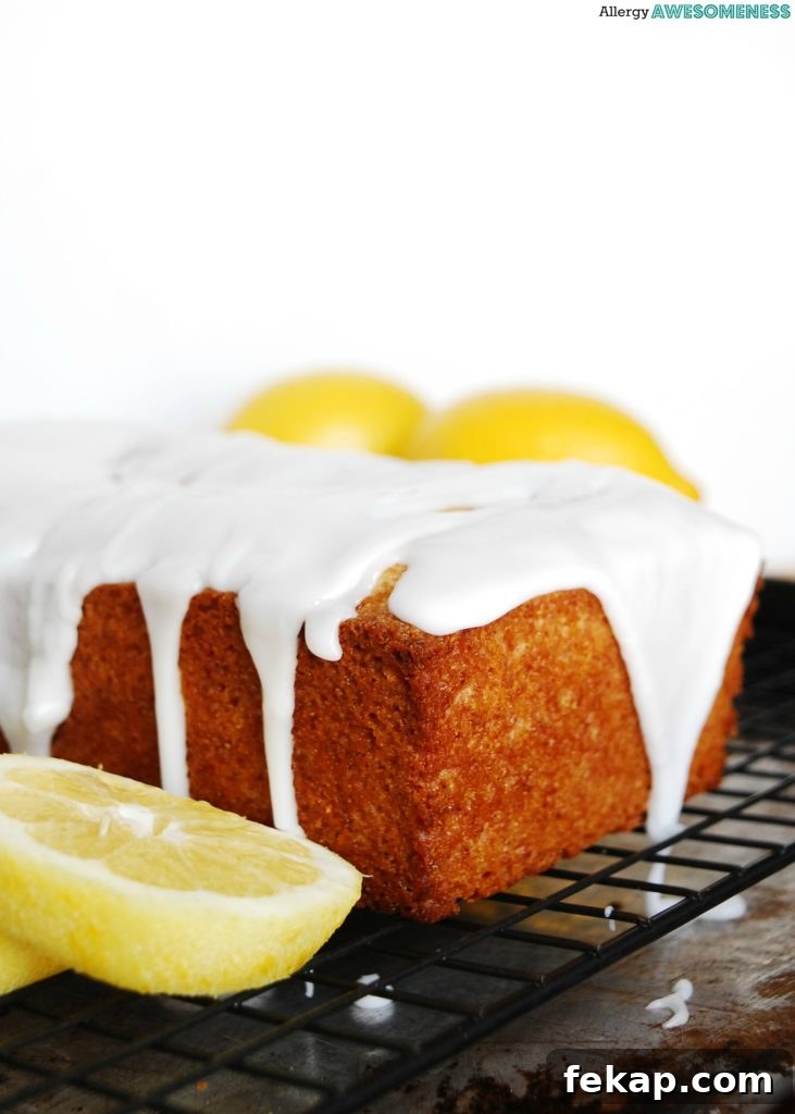 28 Gluten-Free Dairy-Free Brunch Recipes with Vegan Options 27 Lemon Bread Gluten-free Vegan Recipe by AllergyAwesomeness.com