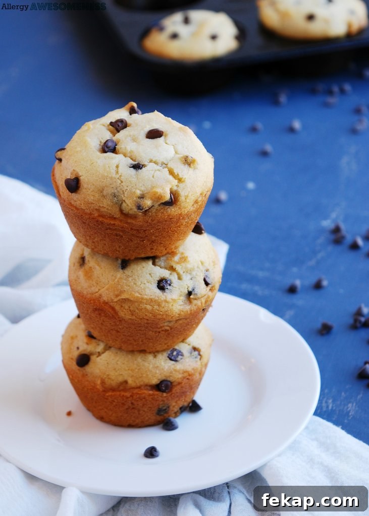 28 Gluten-Free Dairy-Free Brunch Recipes with Vegan Options 4 vegan-gluten-free-chocolate-chip-muffin-recipe