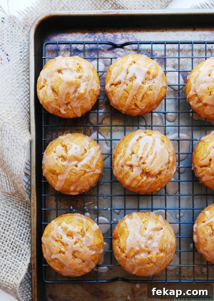 28 Gluten-Free Dairy-Free Brunch Recipes with Vegan Options 5 vegan-gluten-free-pumpkin-muffin-recipe