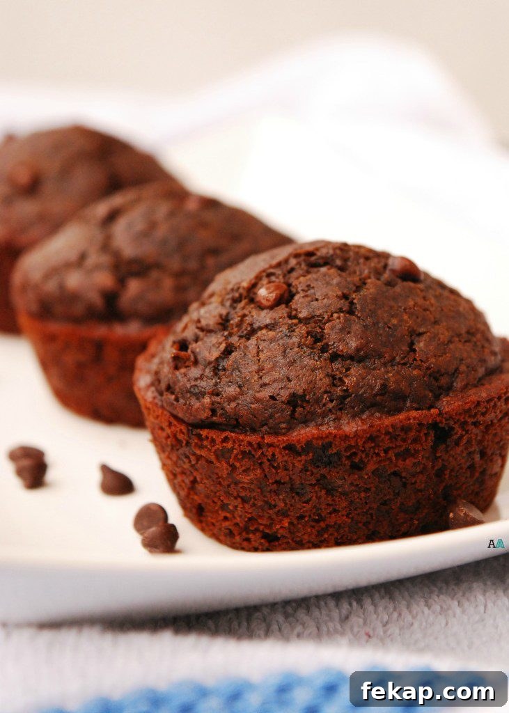 28 Gluten-Free Dairy-Free Brunch Recipes with Vegan Options 7 vegan-gluten-free-healthy-double-chocolate-muffins