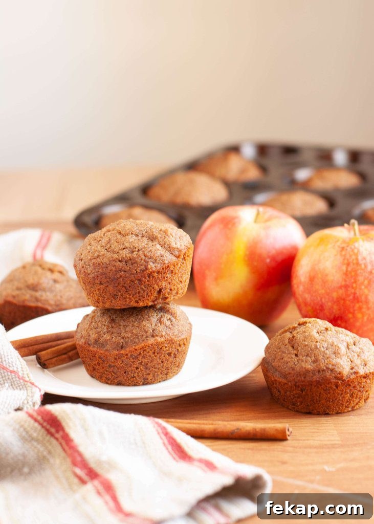 28 Gluten-Free Dairy-Free Brunch Recipes with Vegan Options 8 vegan-gluten-free-applesauce-muffin-recipe