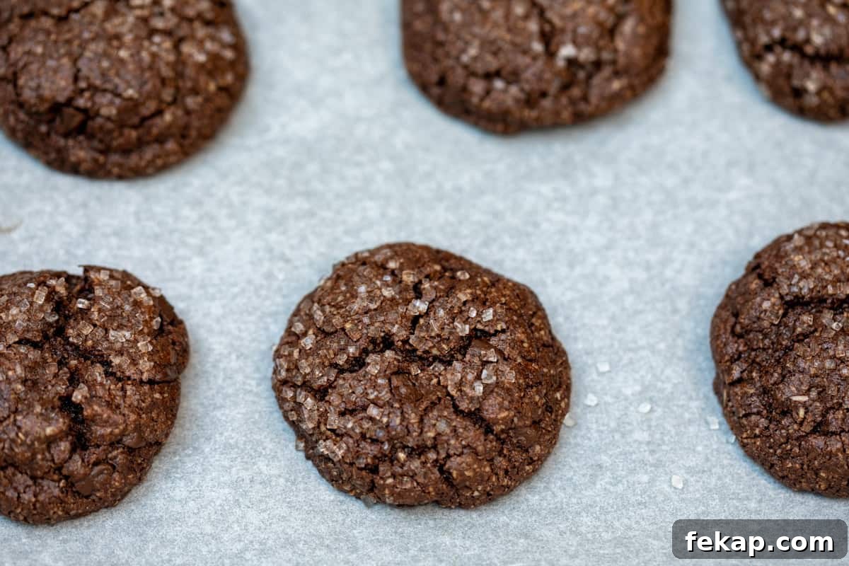 Double Chocolate Almond Flour Cookies 7 baked almond flour chocolate cookies on sheet pan
