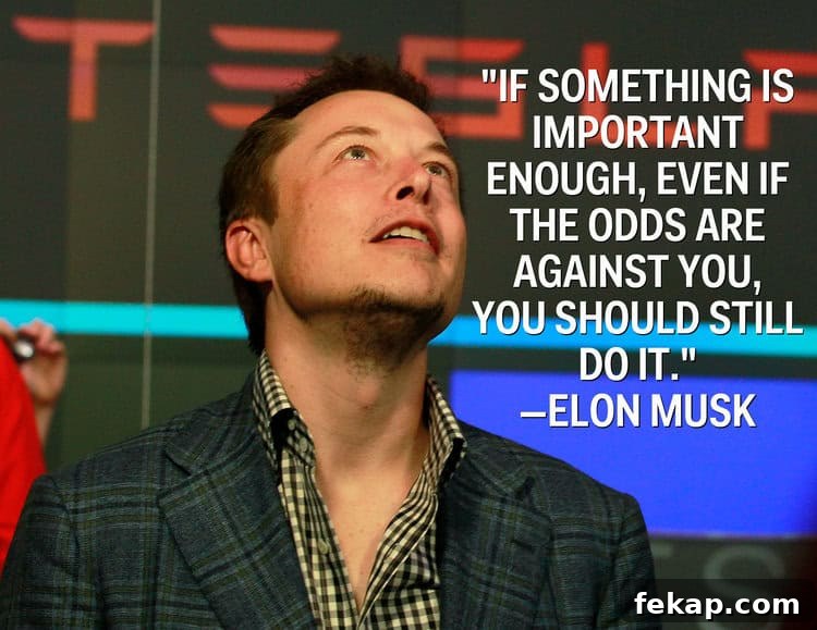 Secret Ingredient for Classic Marinara Sauce Recipe 2 If something is important enough, even if the odds are against you, you should still do it - Elon Musk