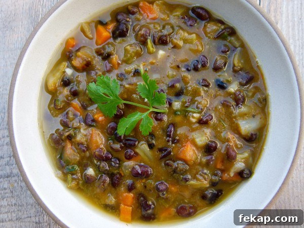 black bean and pumpkin soup | pamela salzman