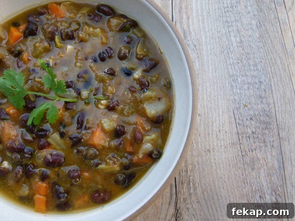black bean and pumpkin soup | pamela salzman