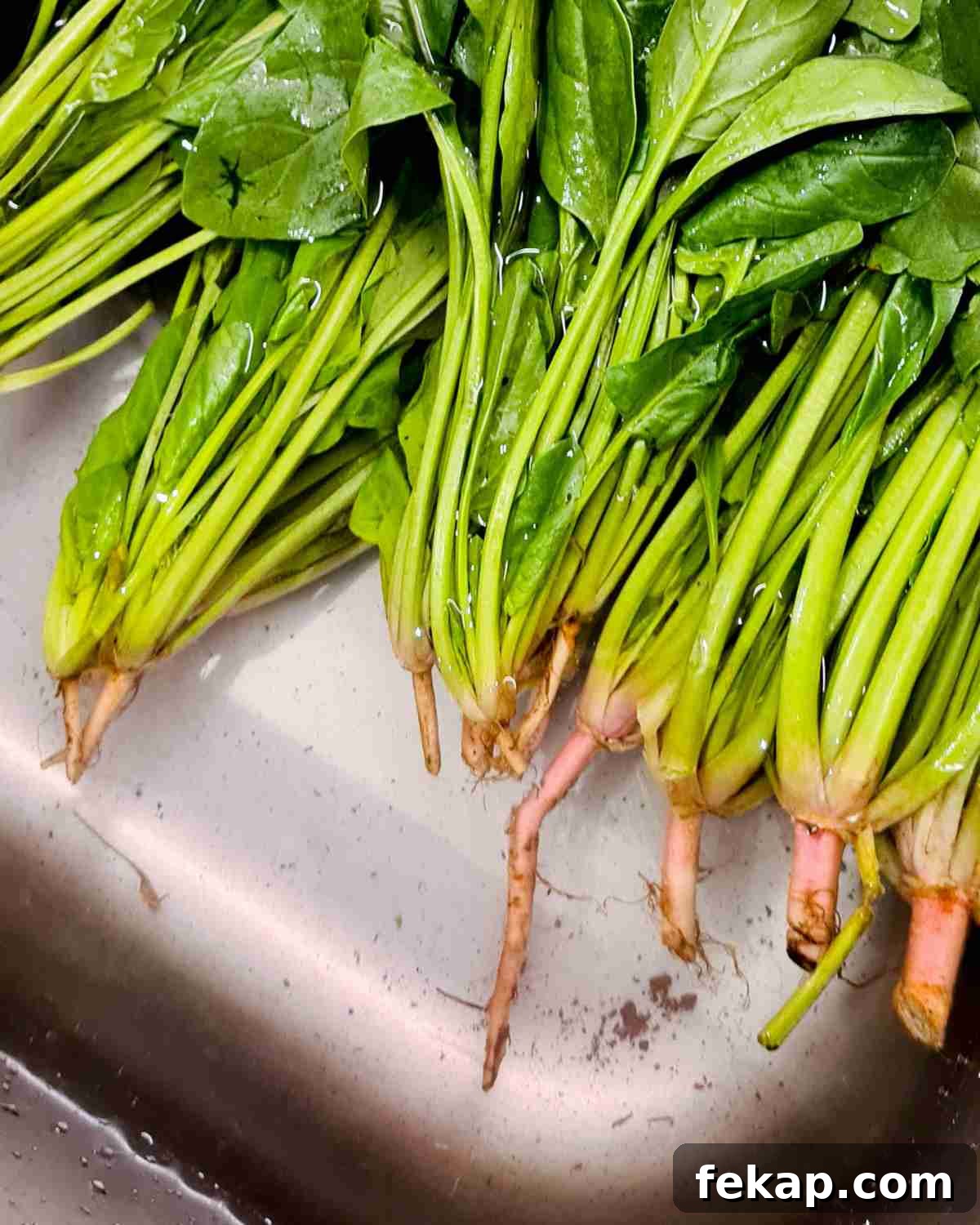 Garlic Stir-Fried Spinach Recipe 4 Close up of spinach roots submerged in water showing mud