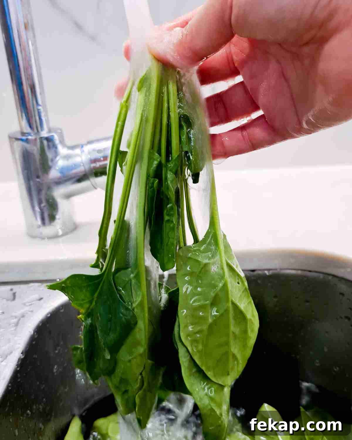Garlic Stir-Fried Spinach Recipe 5 A plant of english spinach being washed under a running tap