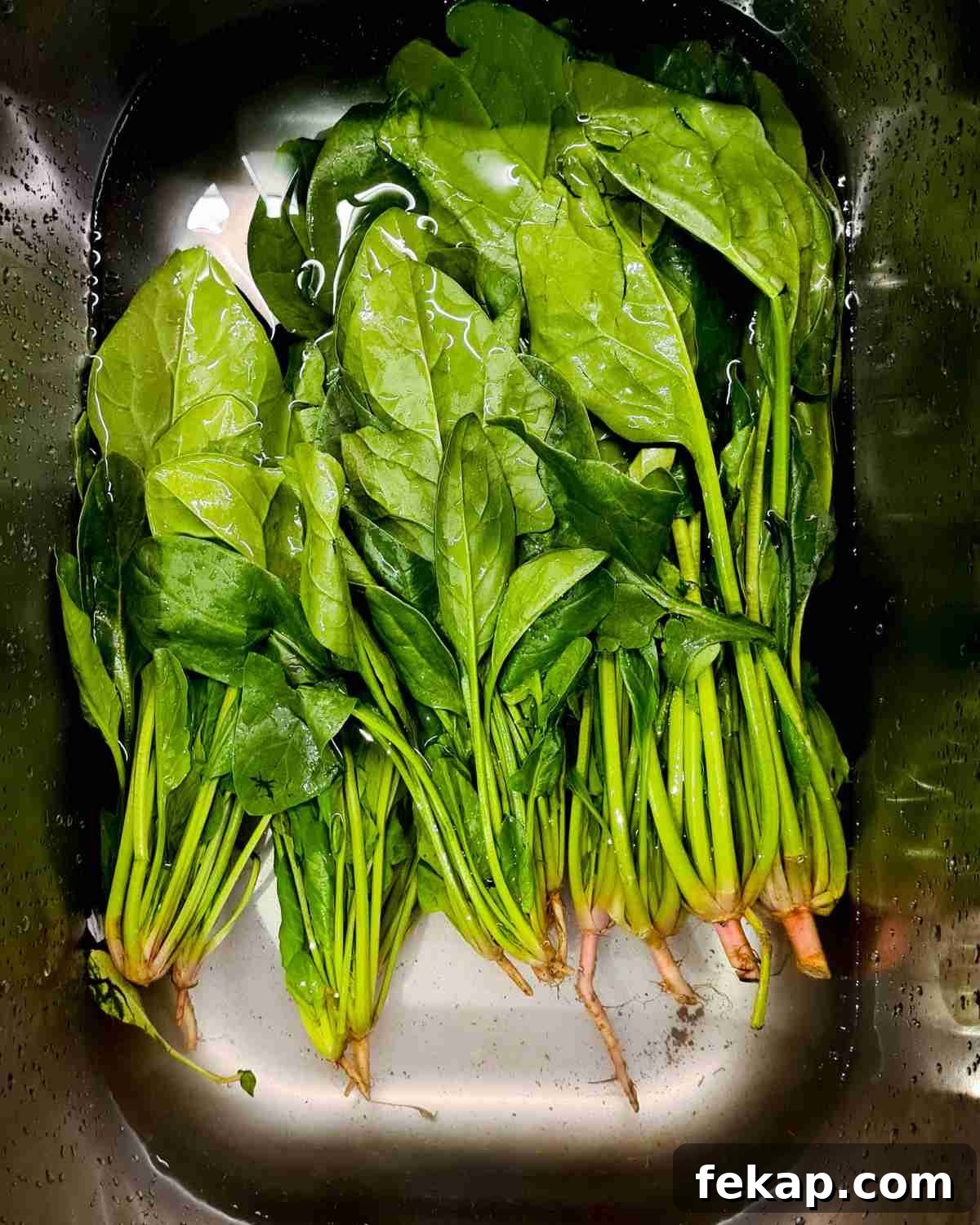 Garlic Stir-Fried Spinach Recipe 6 A large bunch of english spinach submerged in water in a kitchen sink