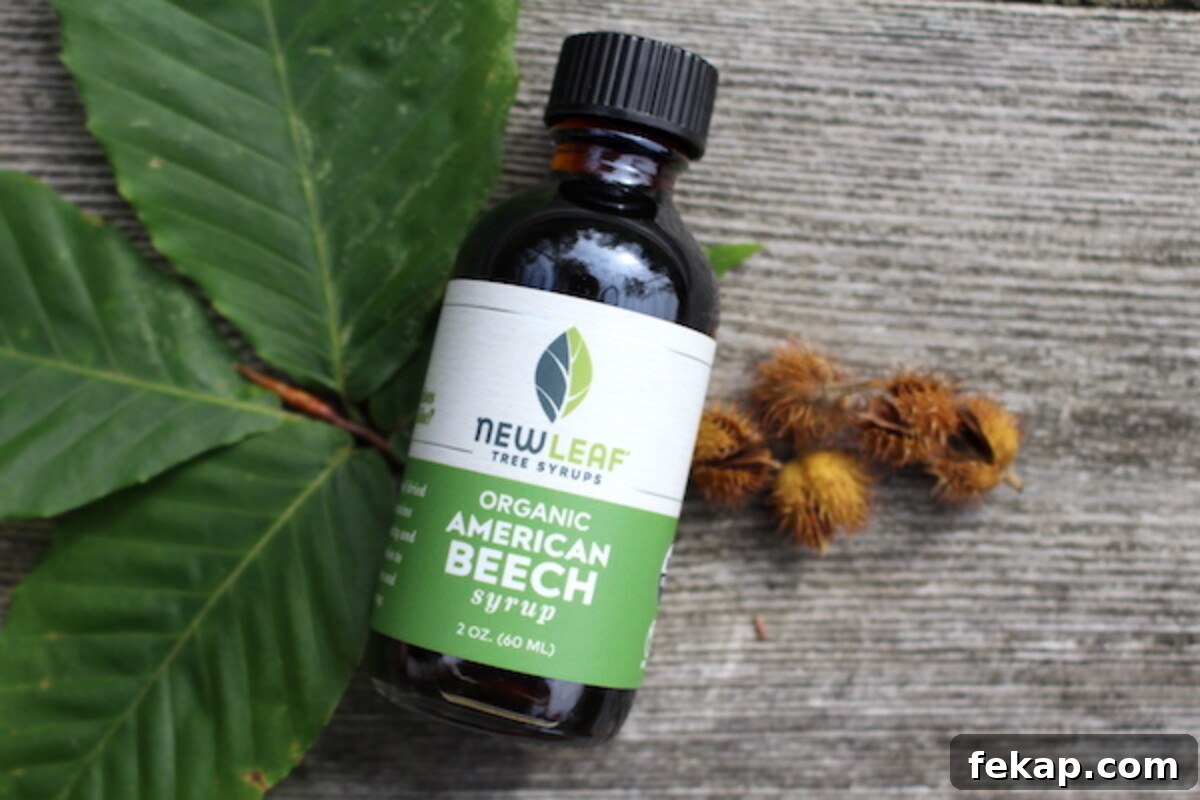 Foraging Beech Nuts How to Identify Harvest and Eat Them 14 Beech syrup from new leaf tree syrups