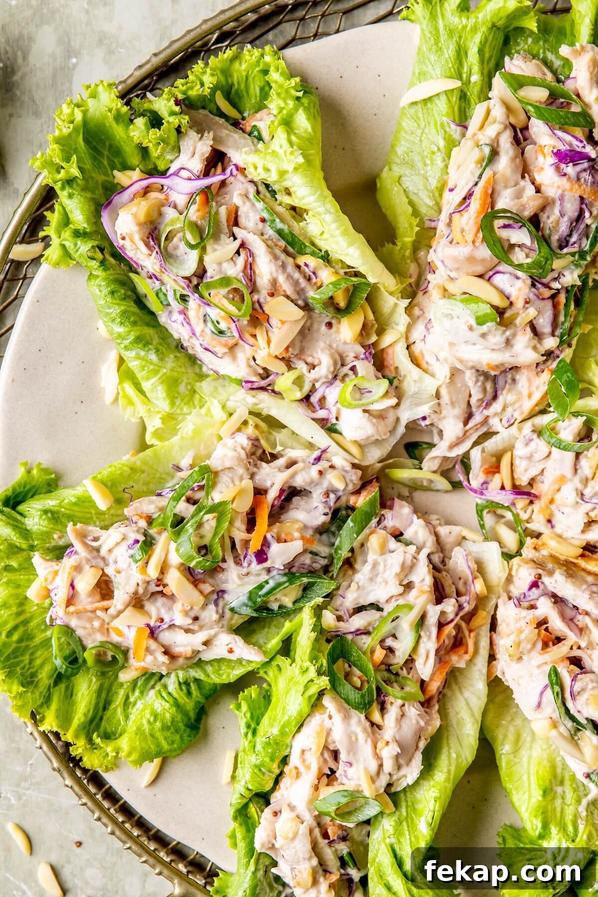 Rotisserie Chicken Caesar Lettuce Cups Recipe 2 Rotisserie Chicken Caesar Lettuce Cups - Olivia Adriance