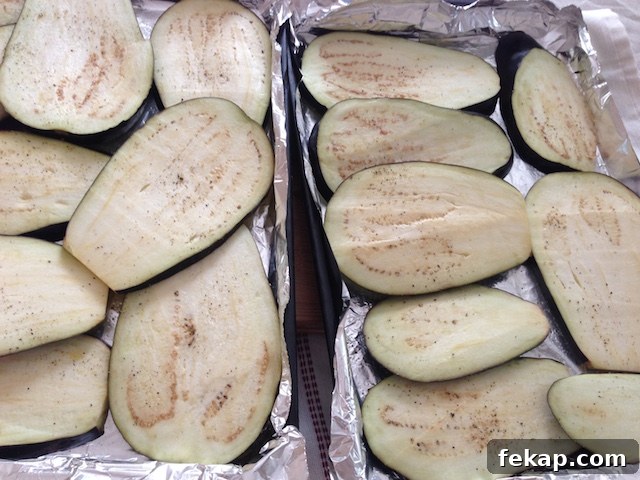 Eggplant slices rolled around vegetable filling