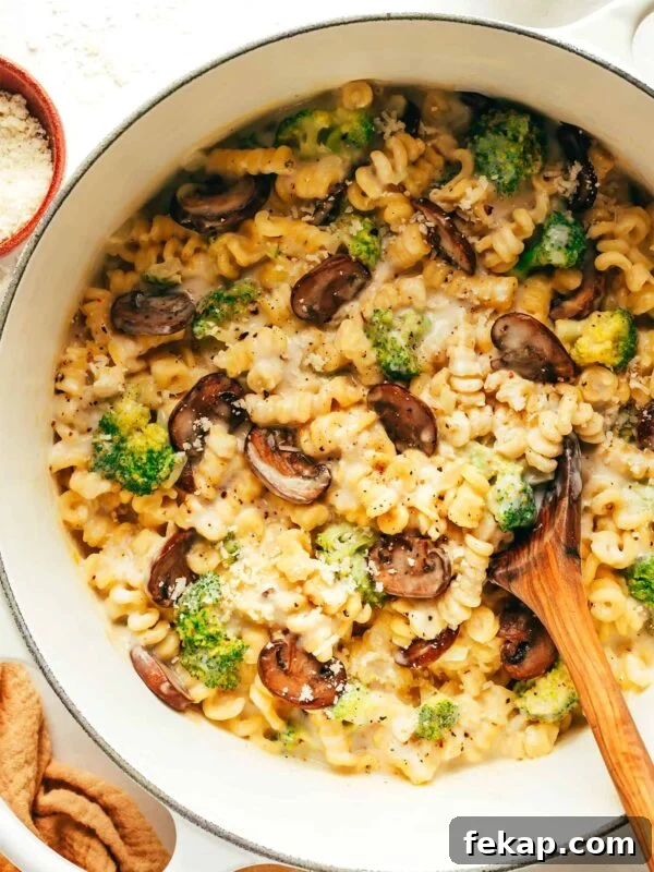 One pot broccoli mac and cheese