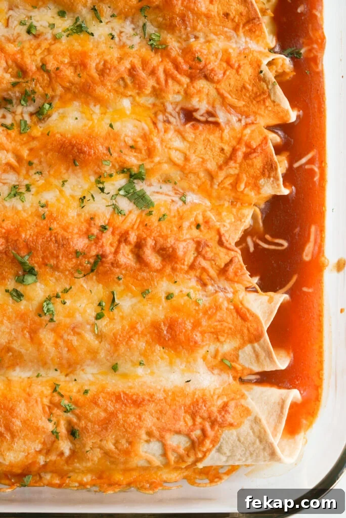 Cheesy Instant Pot Chicken Enchiladas Recipe 2 overhead shot of chicken enchiladas in a baking dish topped with fresh cilantro