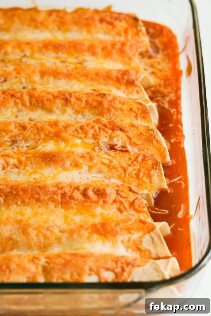 Cheesy Instant Pot Chicken Enchiladas Recipe 5 baked instant pot chicken enchiladas in a baking dish