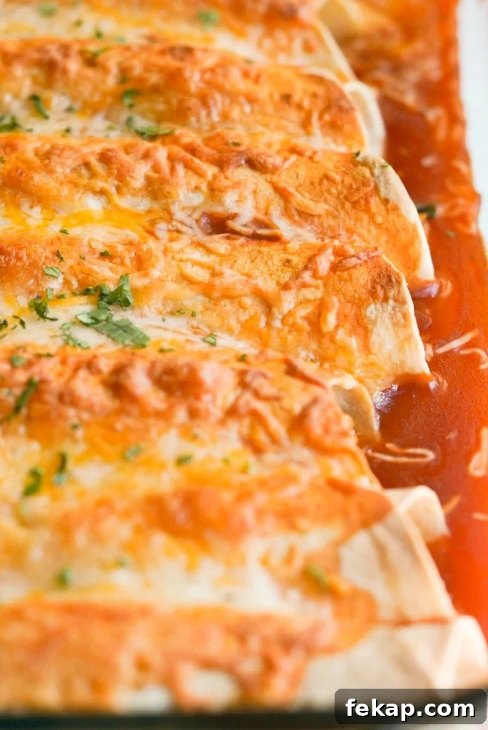 Cheesy Instant Pot Chicken Enchiladas Recipe 6 chicken enchiladas in a baking dish