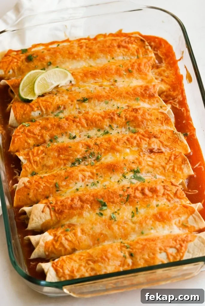 Cheesy Instant Pot Chicken Enchiladas Recipe 7 instant pot chicken enchiladas topped with fresh cilantro